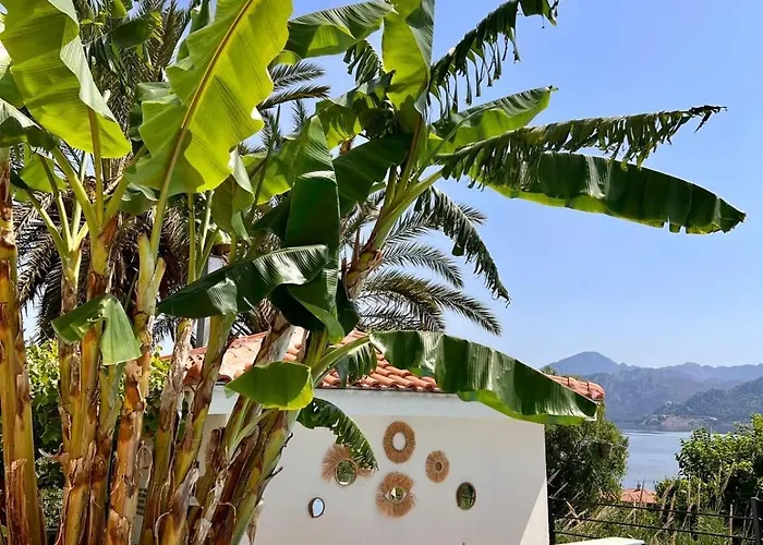 ゲストハウス Gala