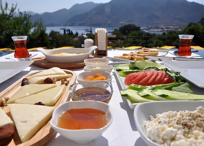 Πανσιόν Gala 4*